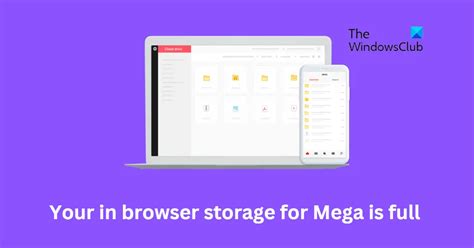 your in browser storage for mega is full